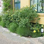 Genat بيت ضيافة
