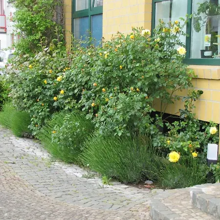 Genat Casa de hóspedes